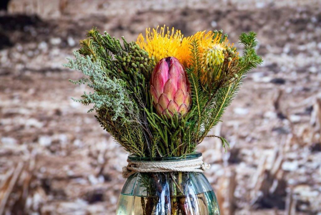 Middelwater Farm Hotel Bloemfontein Bagian luar foto